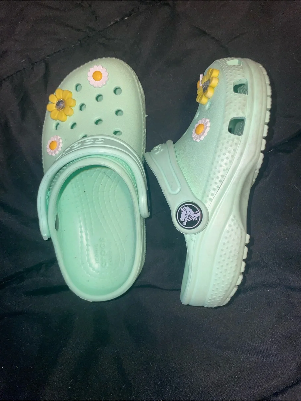 Crocs Kids' Mint Green Clog with Floral Charms c8